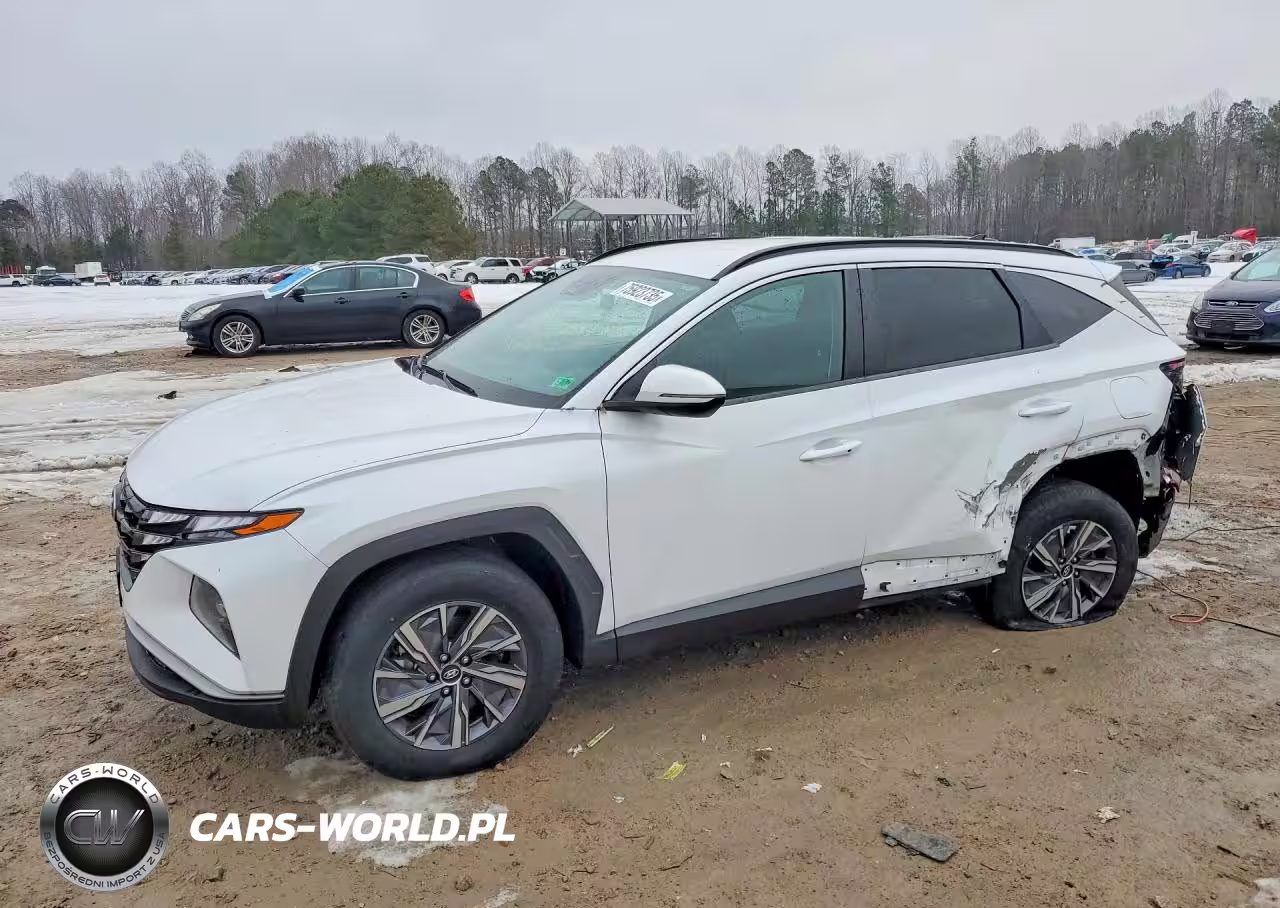 2022 Hyundai Tucson Blue