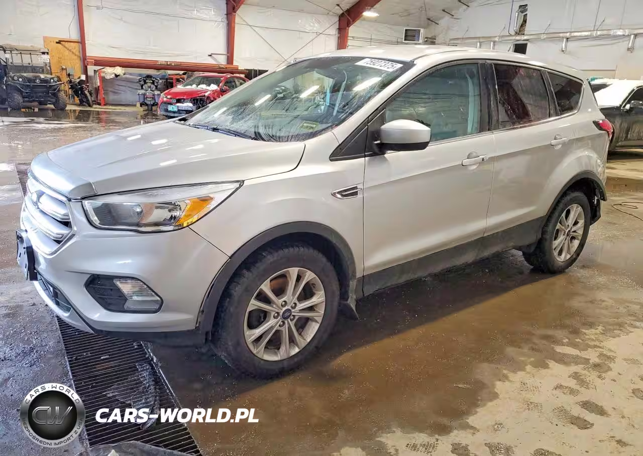 2019 Ford Escape Se