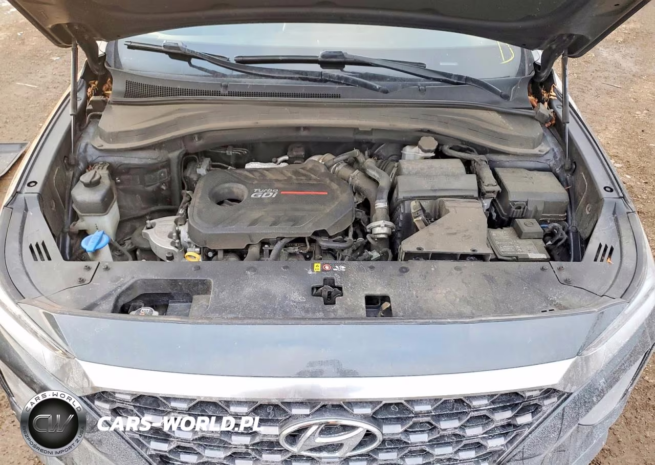 2020 Hyundai Santa Fe Sel VIN:5NMS3CAA0LH263330 - 12