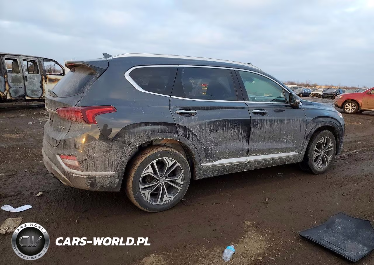 2020 Hyundai Santa Fe Sel VIN:5NMS3CAA0LH263330 - 3