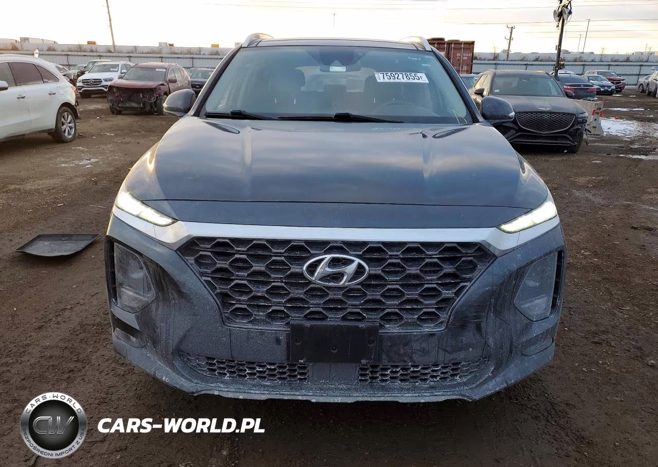 2020 Hyundai Santa Fe Sel VIN:5NMS3CAA0LH263330 - 5
