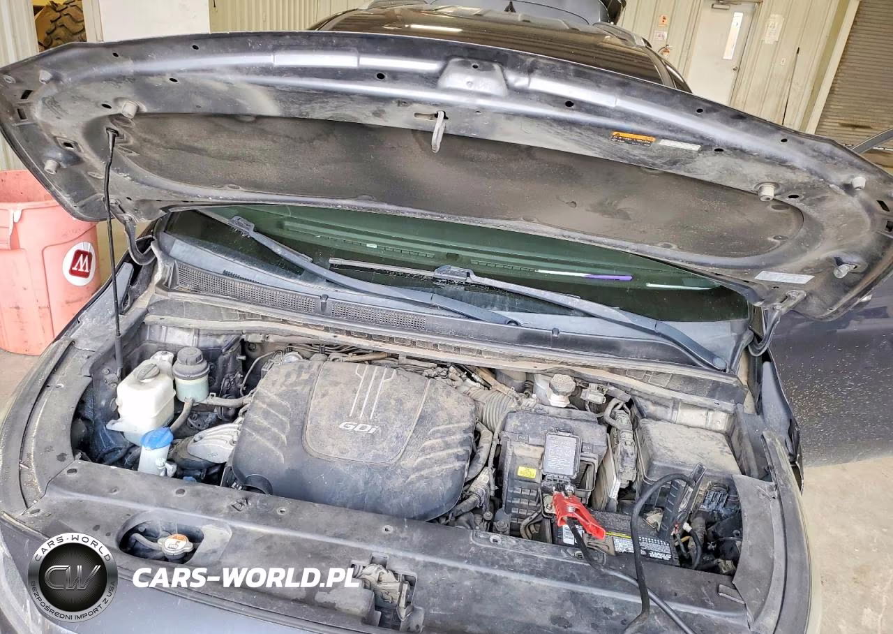 2017 Kia Sedona Lx VIN:KNDMB5C10H6329089 - 12