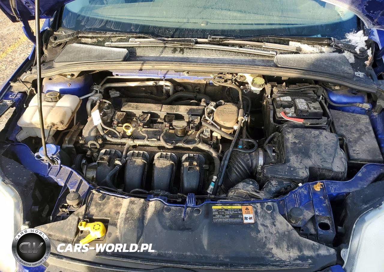 2013 Ford Focus Se VIN:1FADP3F22DL222122 - 11