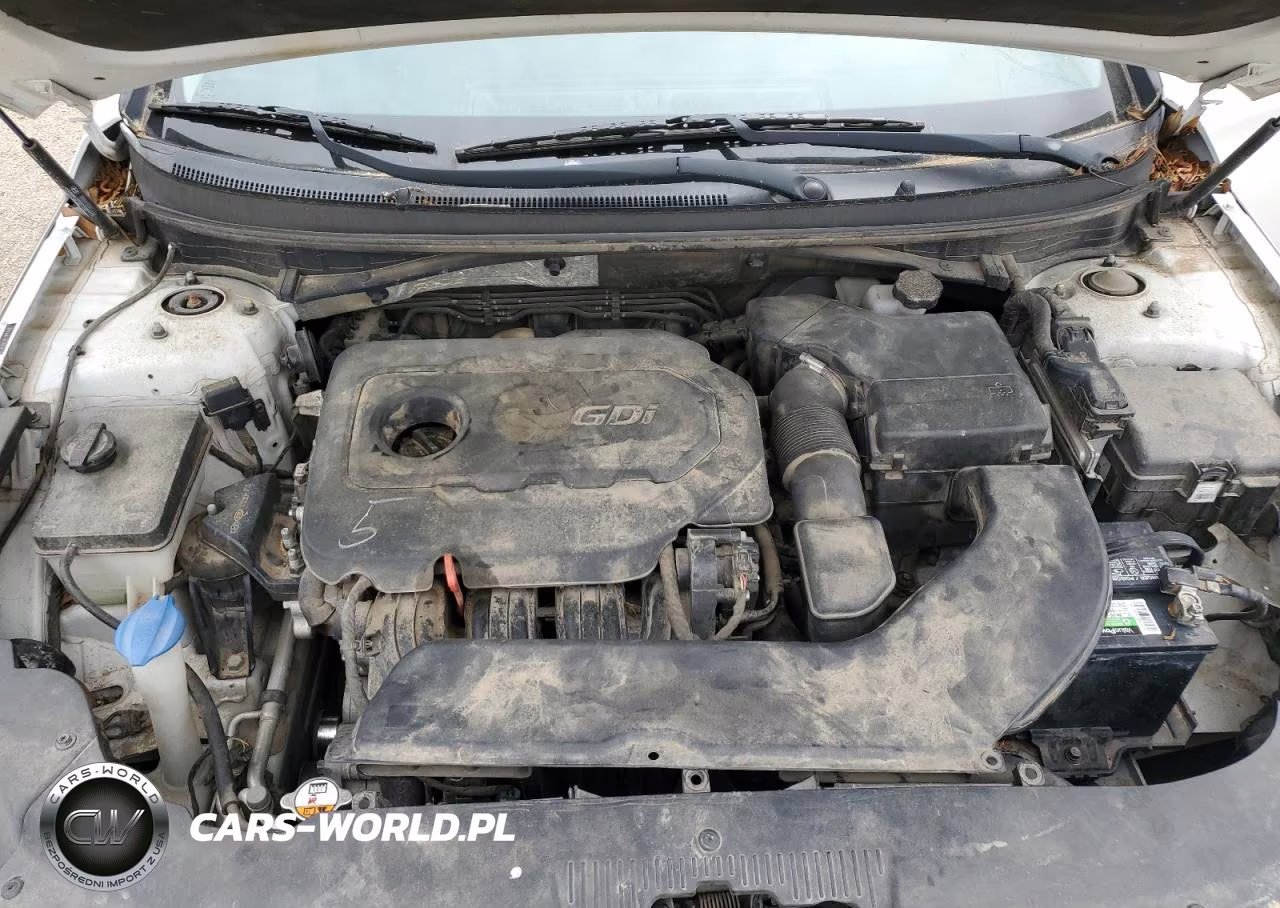 2015 Hyundai Sonata Se VIN:5NPE24AF2FH219175 - 11