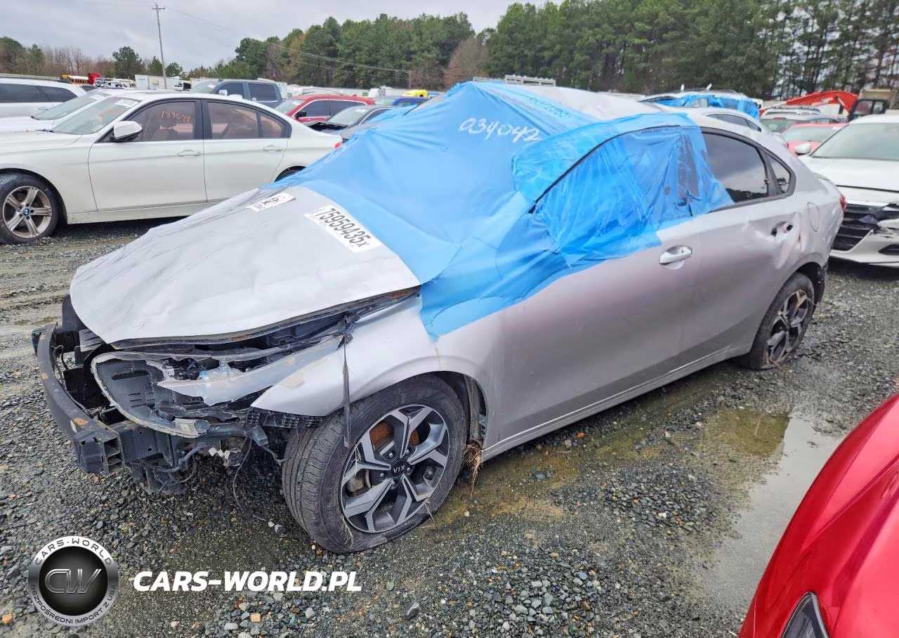 2019 Kia Forte Fe