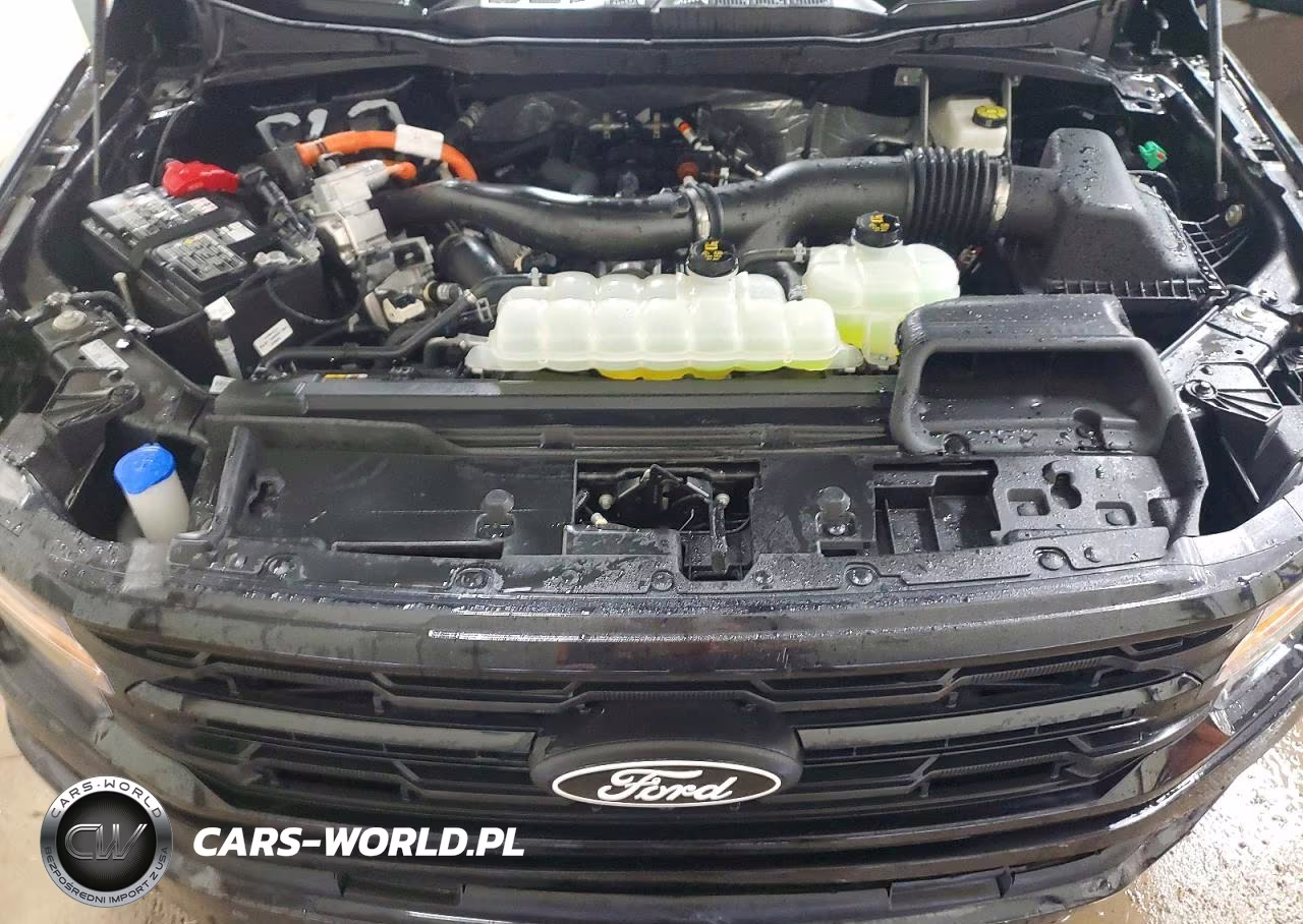 2025 Ford F150 Xlt VIN:1FTFW3LDXSFA34391 - 11