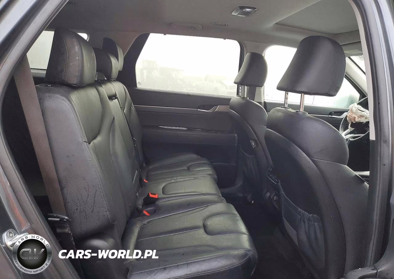 2020 Hyundai Palisade Sel VIN:KM8R44HE7LU075712 - 10