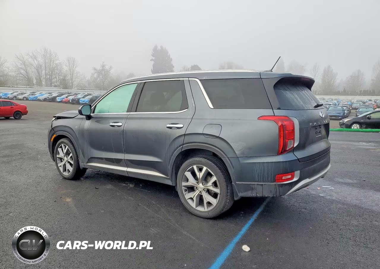 2020 Hyundai Palisade Sel VIN:KM8R44HE7LU075712 - 2