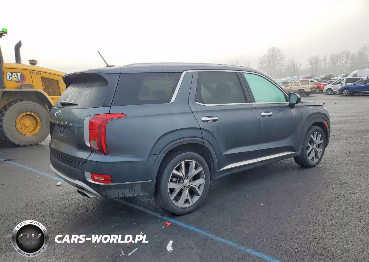 2020 Hyundai Palisade Sel VIN:KM8R44HE7LU075712 - 3