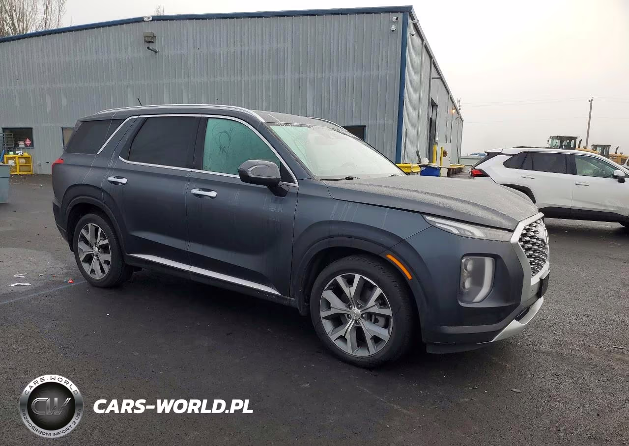 2020 Hyundai Palisade Sel VIN:KM8R44HE7LU075712 - 4