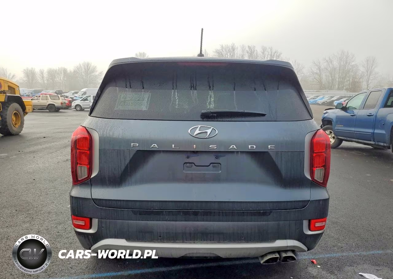 2020 Hyundai Palisade Sel VIN:KM8R44HE7LU075712 - 6