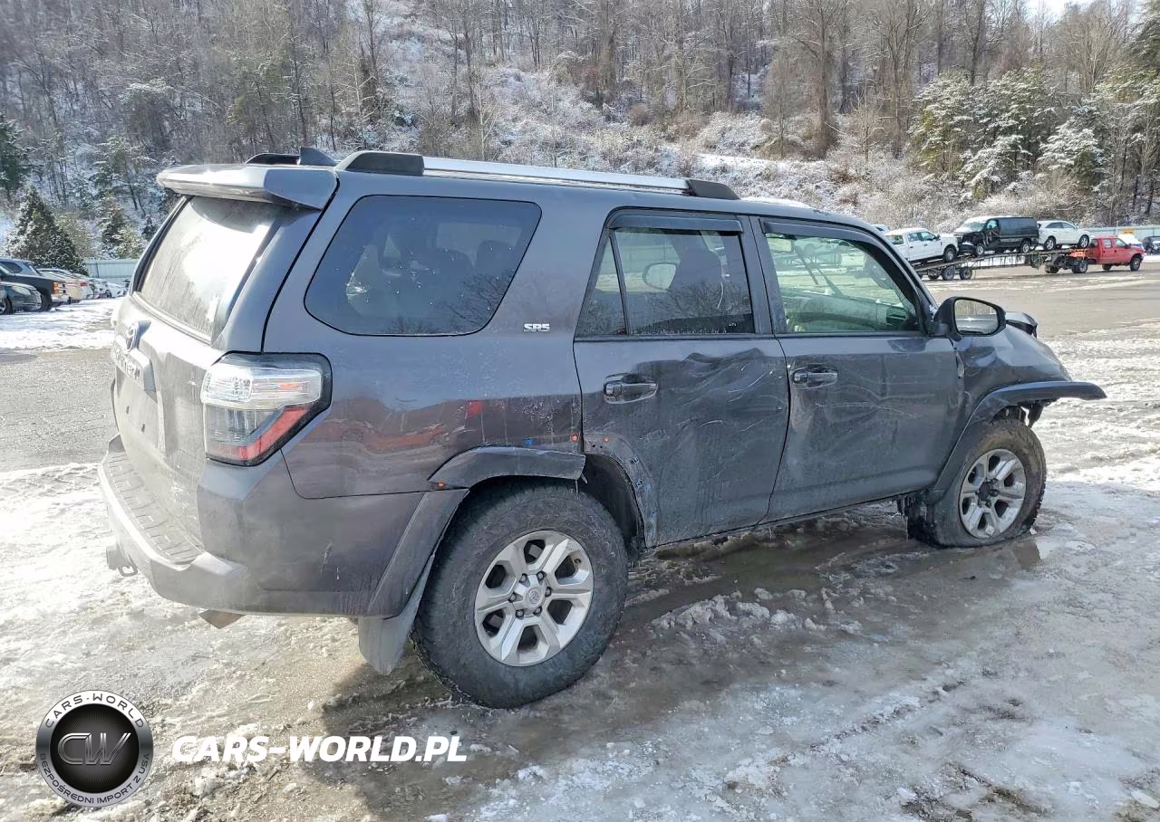 2019 Toyota 4Runner Sr5 Premium VIN:JTEBU5JR9K5697340 - 3