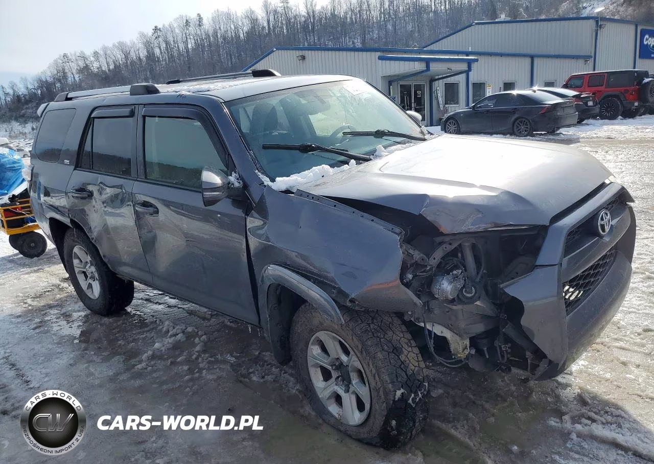 2019 Toyota 4Runner Sr5 Premium VIN:JTEBU5JR9K5697340 - 4