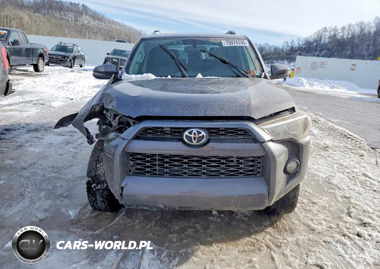 2019 Toyota 4Runner Sr5 Premium VIN:JTEBU5JR9K5697340 - 5
