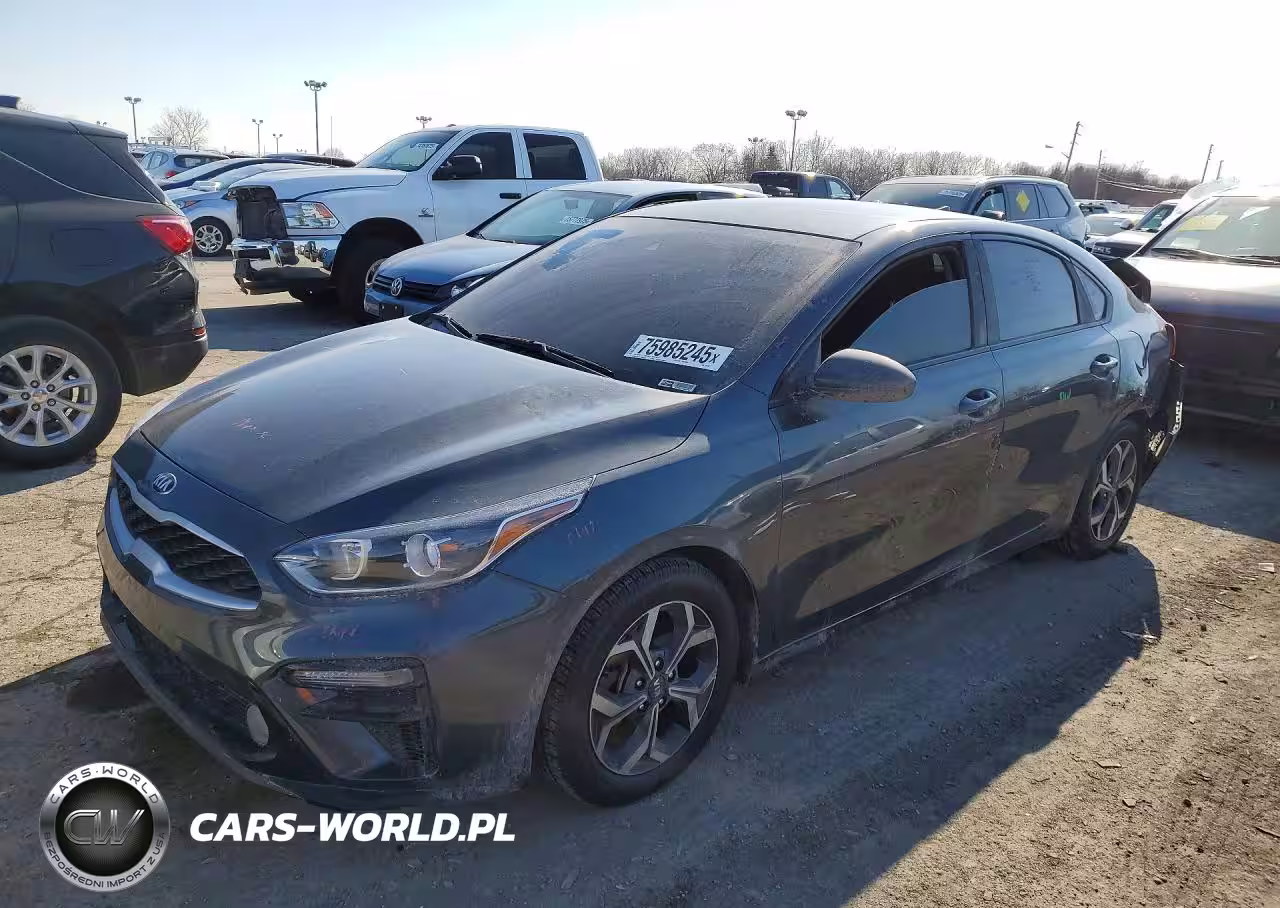 2019 Kia Forte Lxs