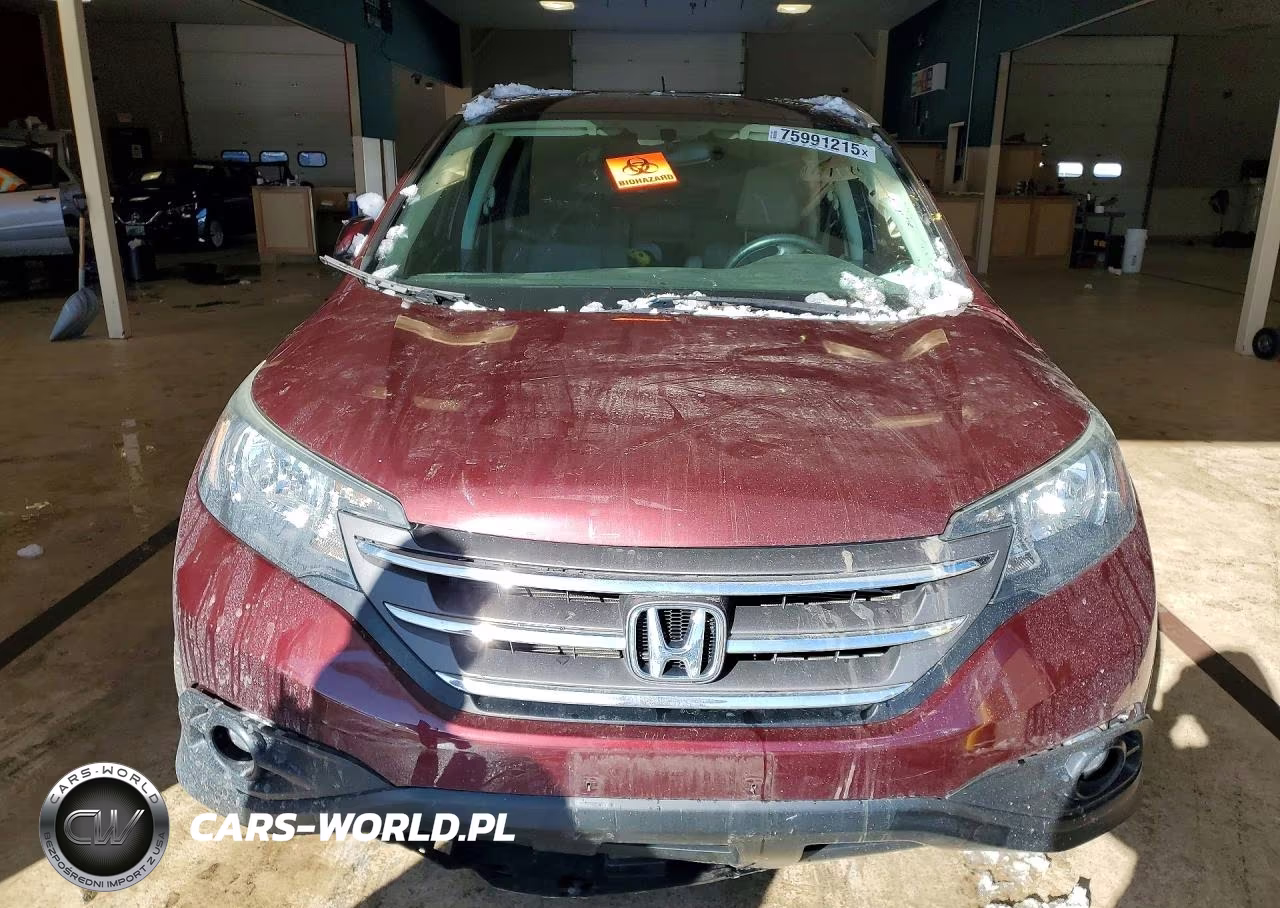 2014 Honda Cr-V Exl VIN:5J6RM4H78EL116745 - 5