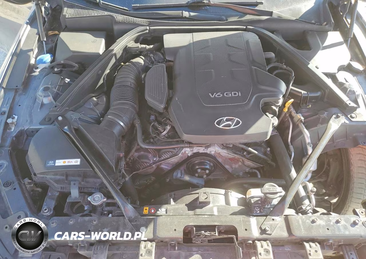 2015 Hyundai Genesis 3.8L VIN:KMHGN4JE9FU070868 - 11