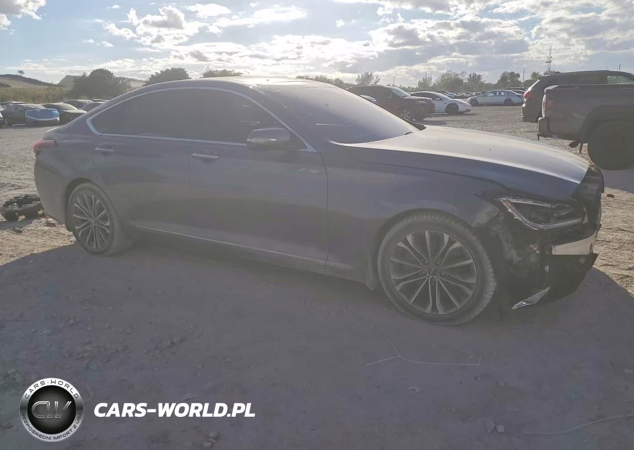 2015 Hyundai Genesis 3.8L VIN:KMHGN4JE9FU070868 - 4