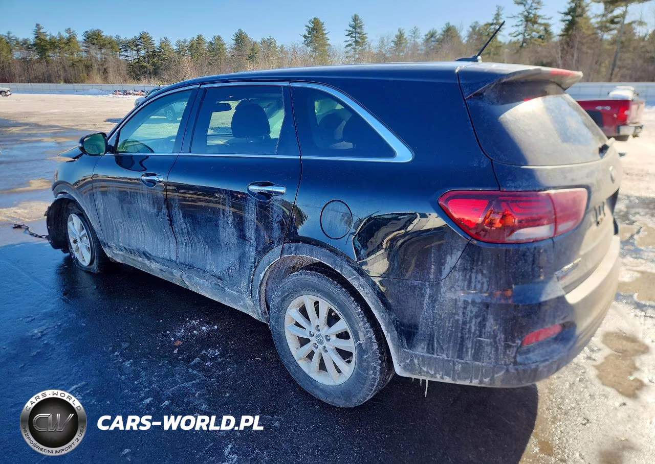 2019 Kia Sorento Lx VIN:5XYPGDA3XKG562673 - 2