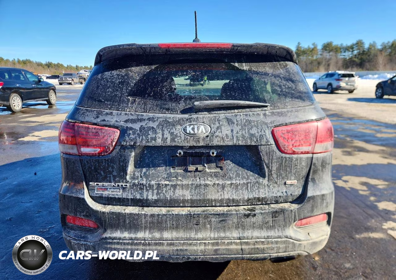 2019 Kia Sorento Lx VIN:5XYPGDA3XKG562673 - 6