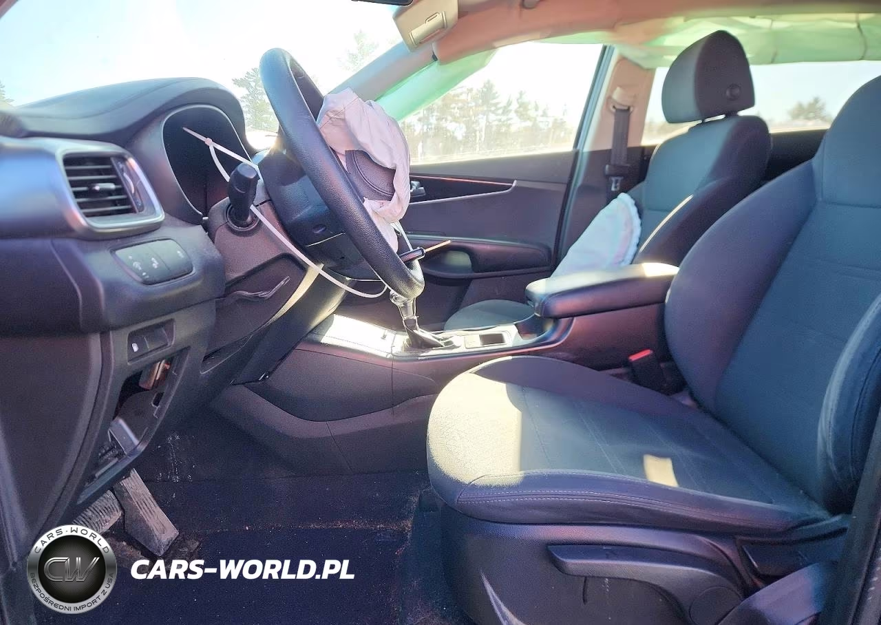 2019 Kia Sorento Lx VIN:5XYPGDA3XKG562673 - 7