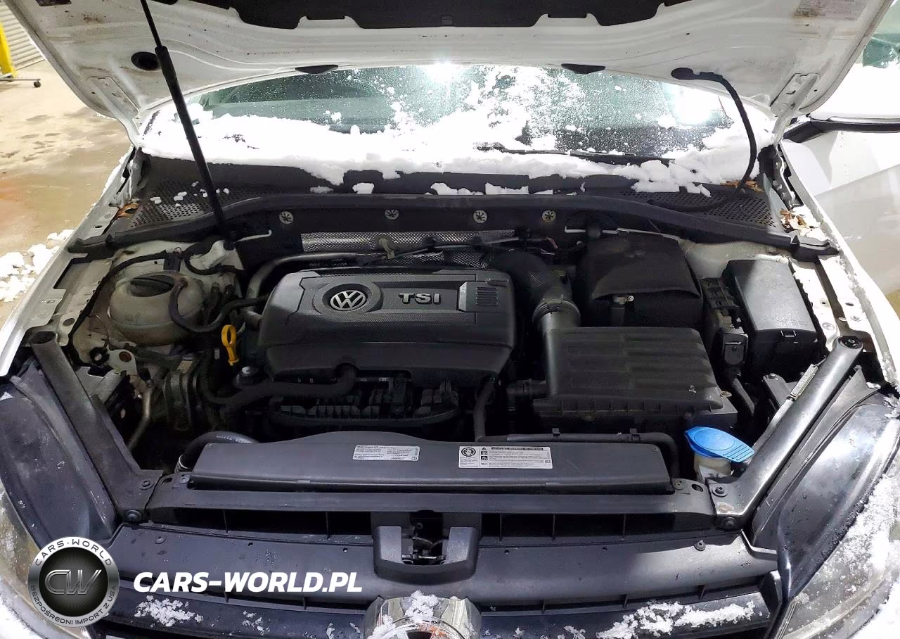 2016 Volkswagen Golf Sportwagen S VIN:3VWC17AU4GM504964 - 11