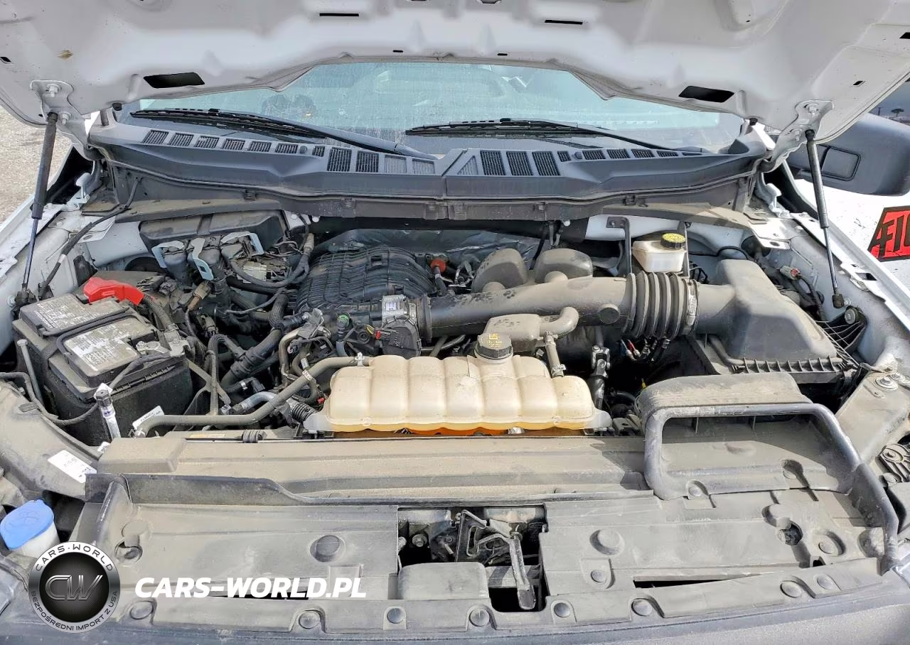 2023 Ford F150 VIN:1FTMF1CB3PKF80359 - 11