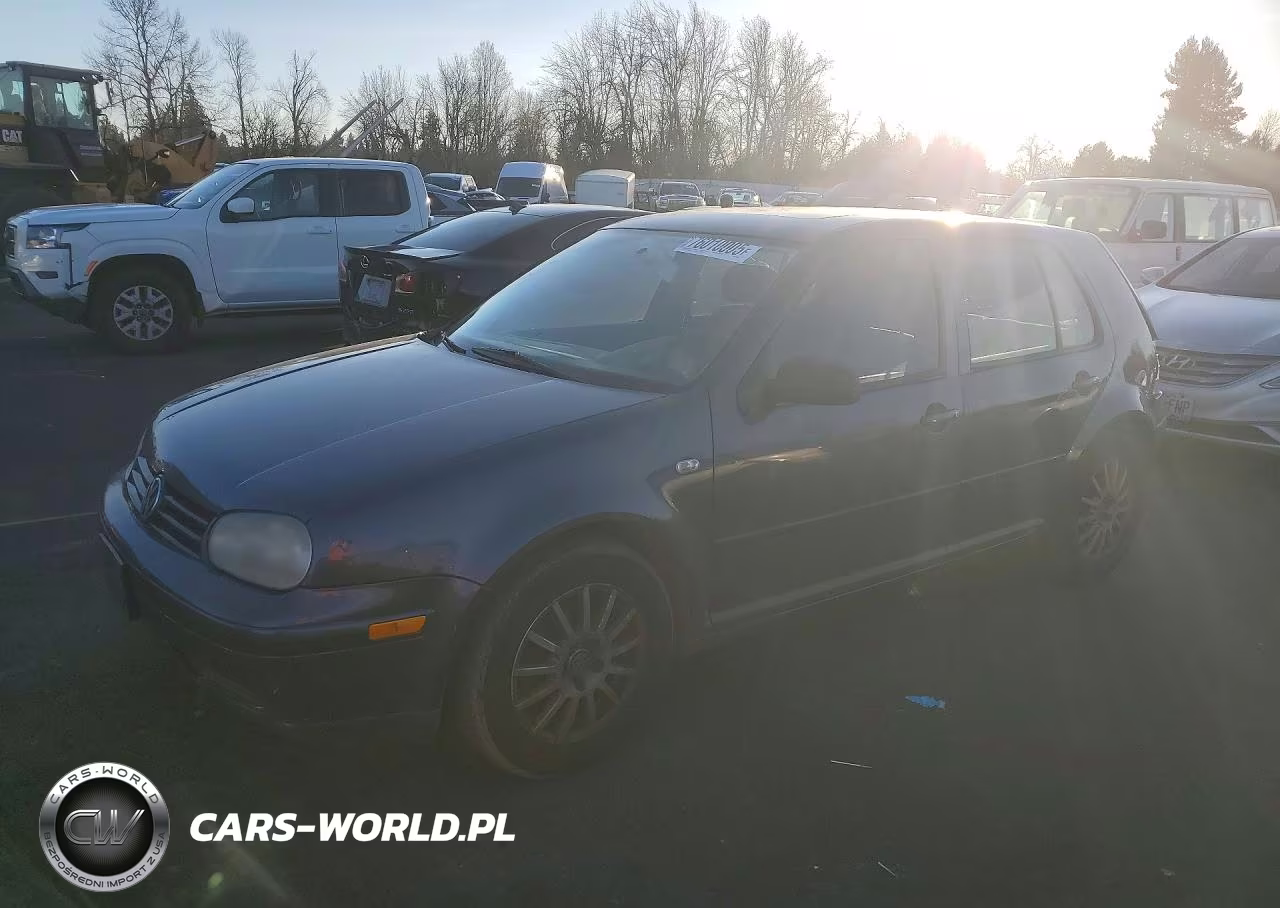 2004 Volkswagen Golf Gls