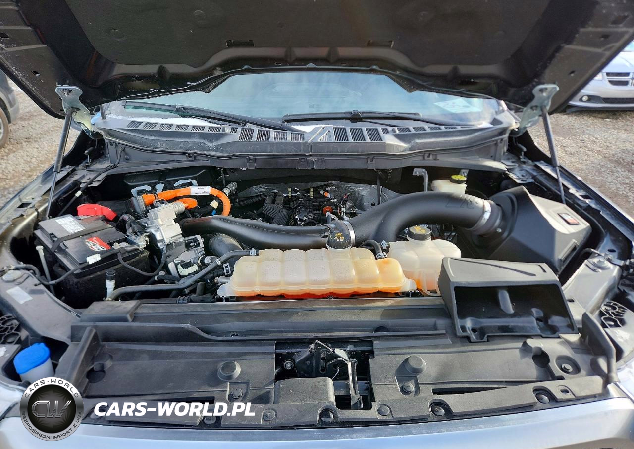2023 Ford F150 Supercrew VIN:1FTFW1ED2PFA60802 - 11