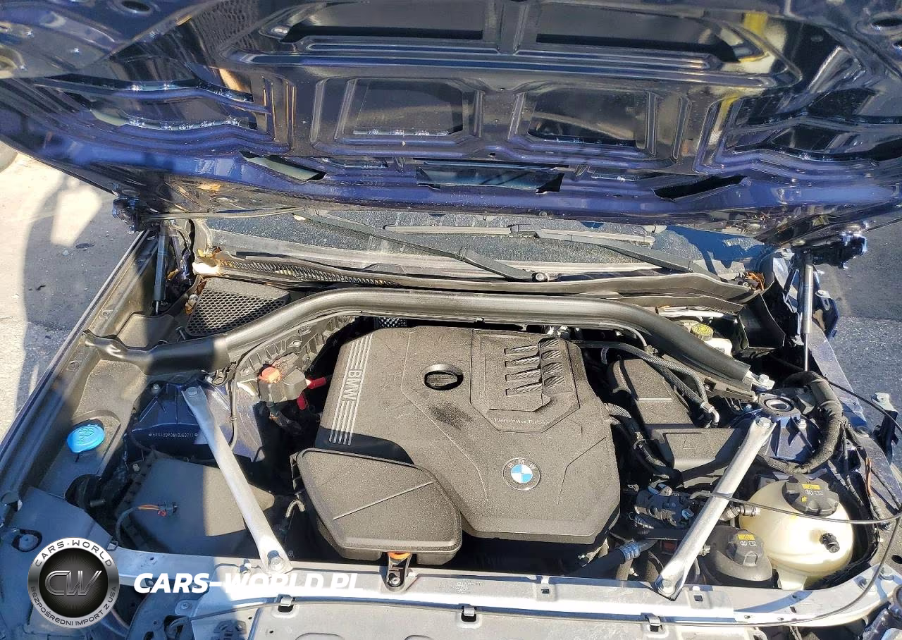 2022 BMW X3 Sdrive30I VIN:5UX43DP05N9J69213 - 12