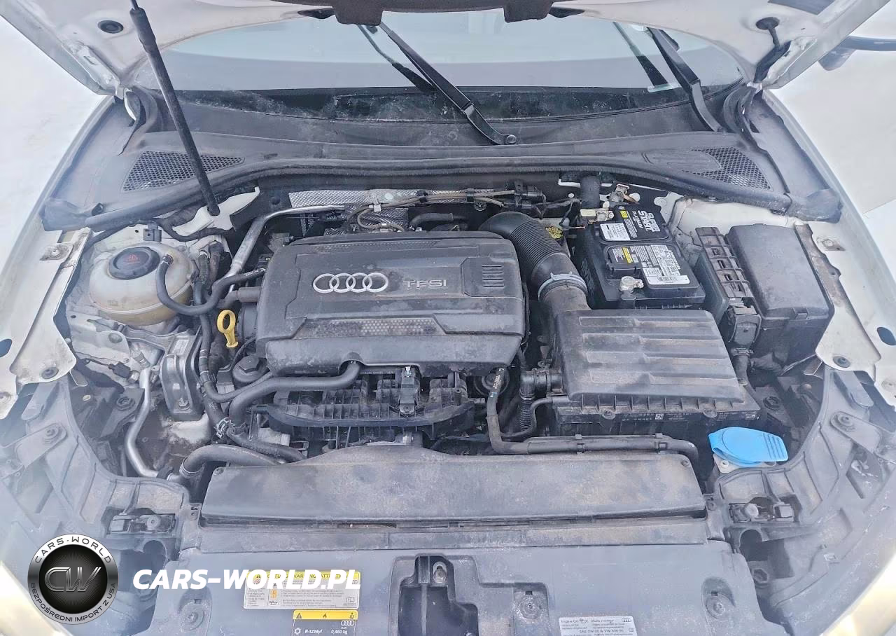 2019 Audi A3 Premium VIN:WAUBEGFF4K1019529 - 11