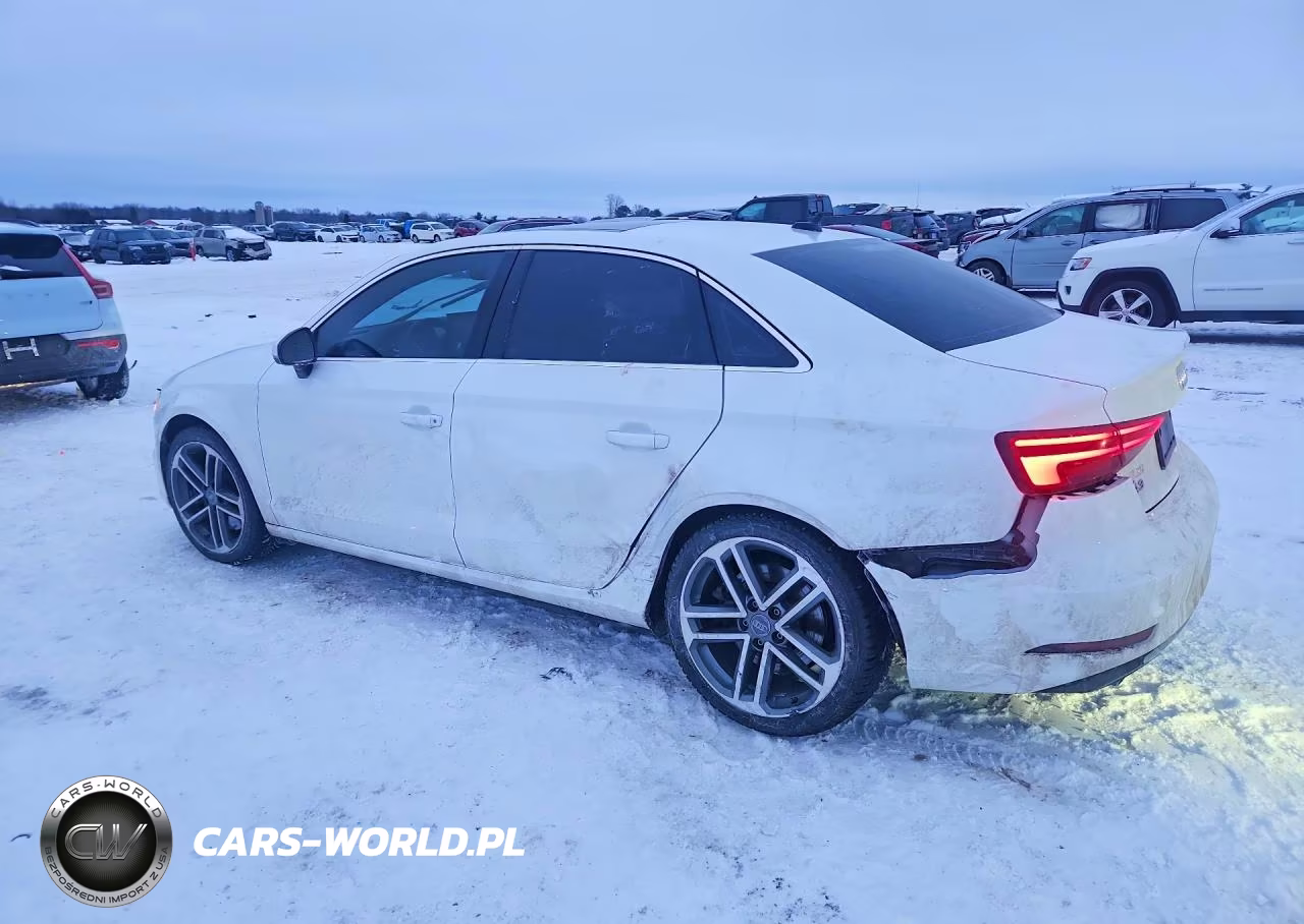2019 Audi A3 Premium VIN:WAUBEGFF4K1019529 - 2