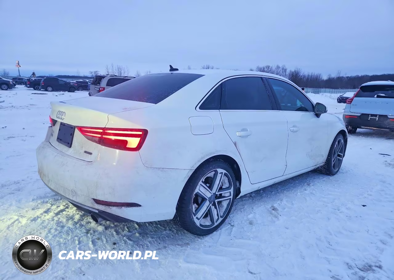 2019 Audi A3 Premium VIN:WAUBEGFF4K1019529 - 3