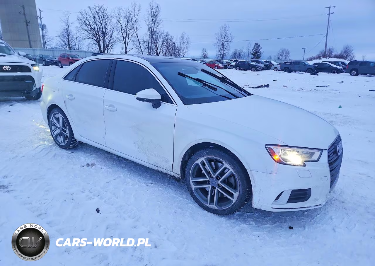 2019 Audi A3 Premium VIN:WAUBEGFF4K1019529 - 4