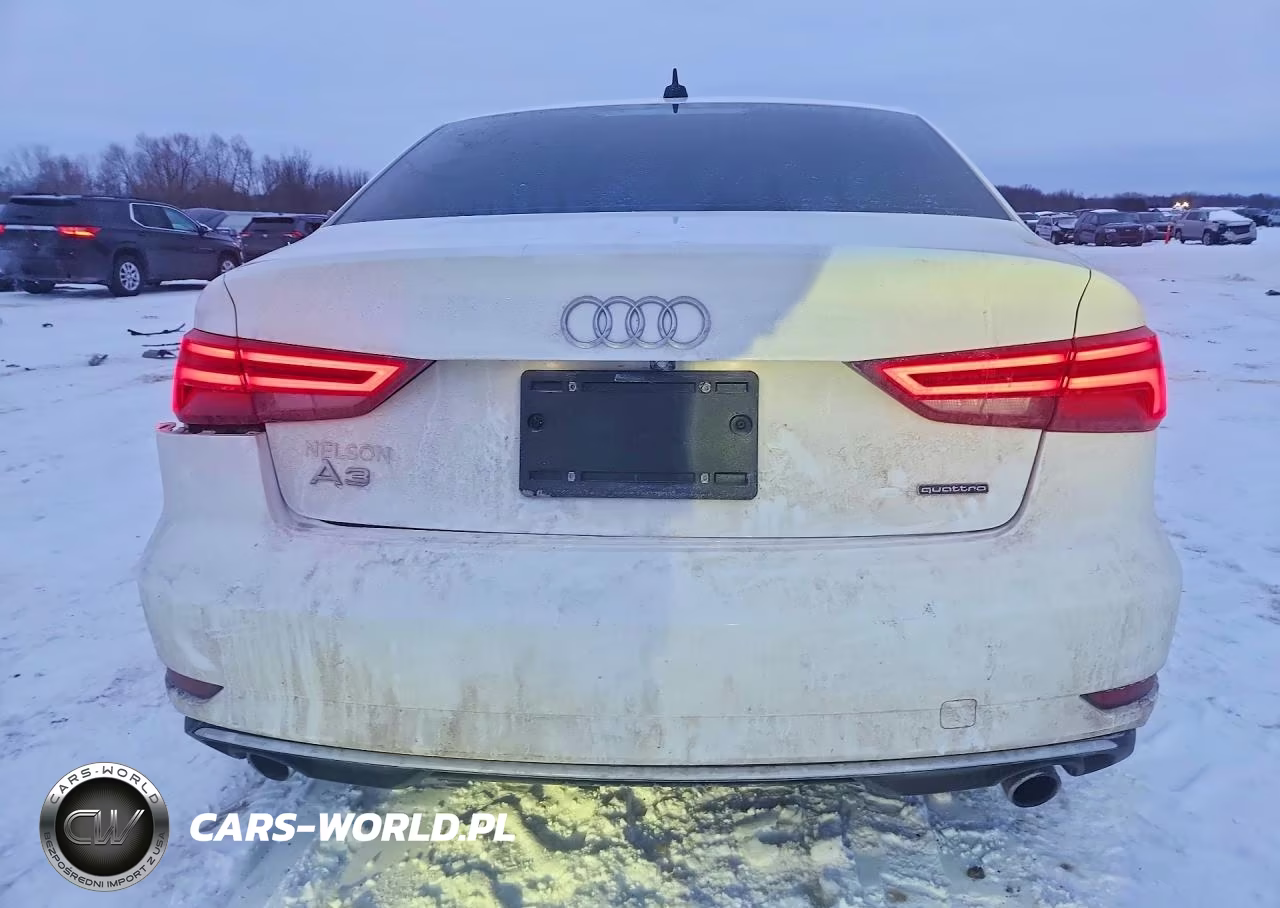 2019 Audi A3 Premium VIN:WAUBEGFF4K1019529 - 6