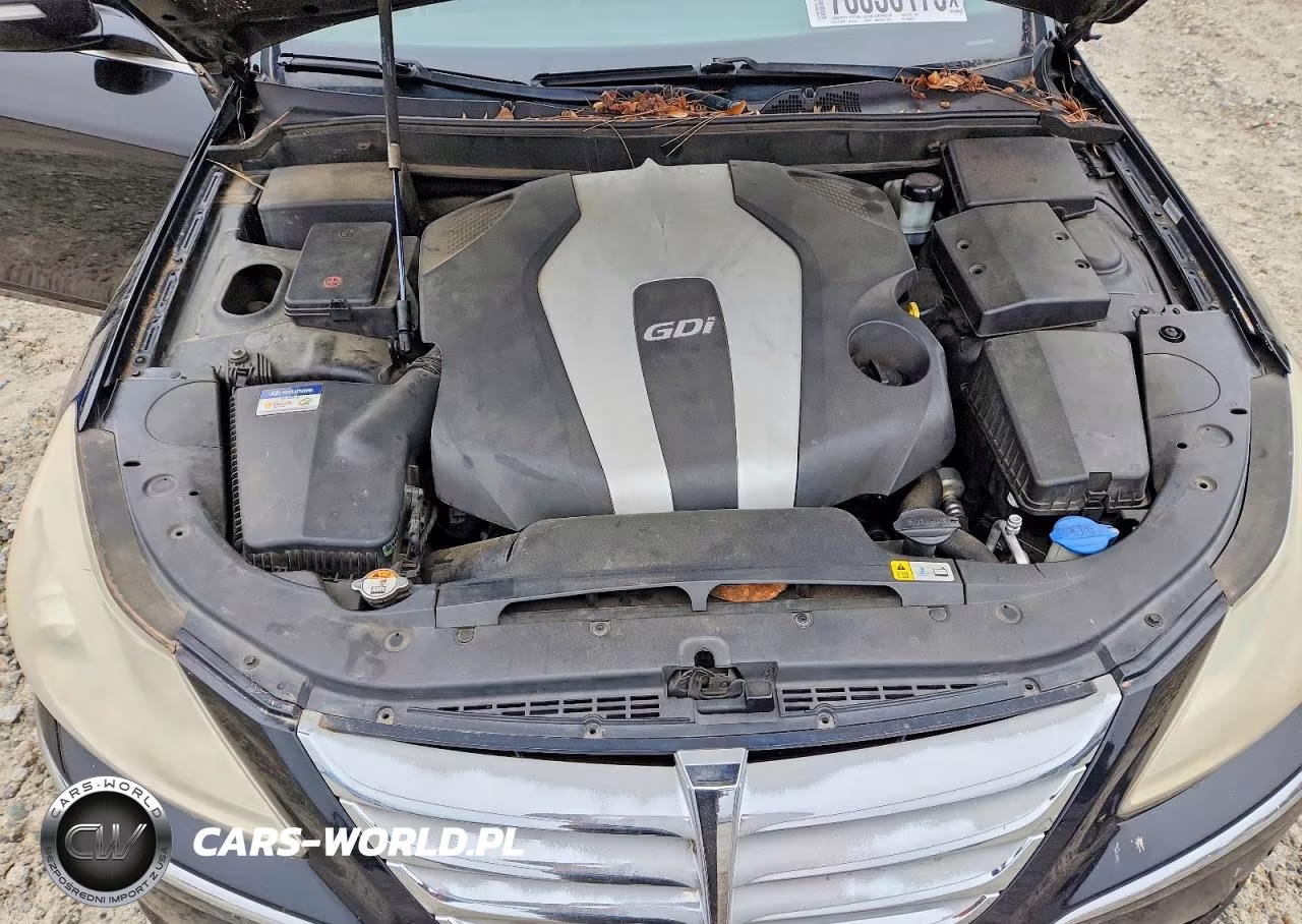 2013 Hyundai Genesis 3.8L VIN:KMHGC4DDXDU232321 - 11
