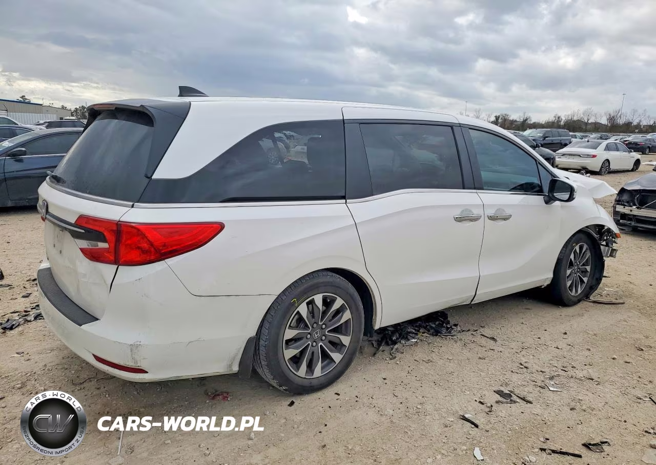 2024 Honda Odyssey Exl VIN:5FNRL6H60RB069540 - 3