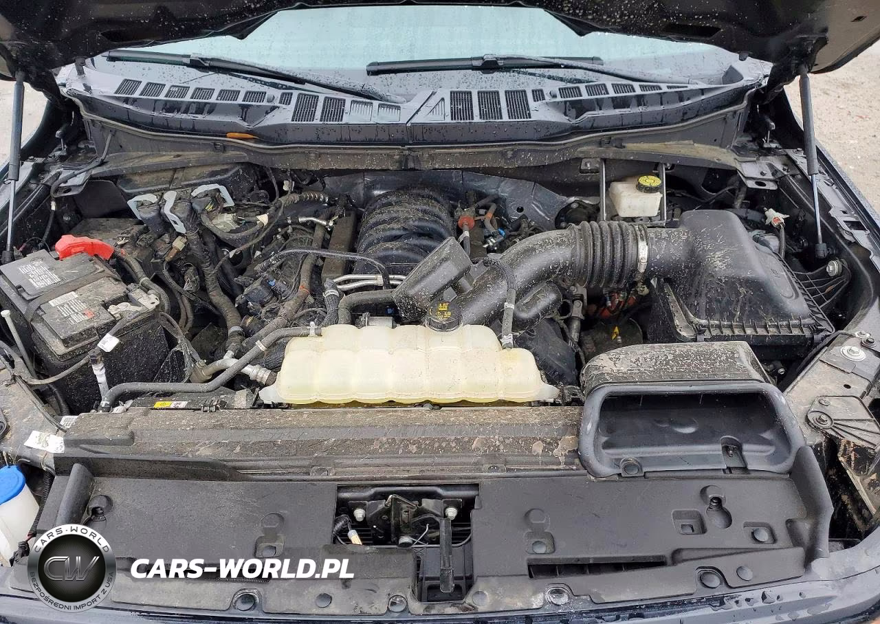 2024 Ford F150 Xlt VIN:1FTEW3K52RKE25459 - 11