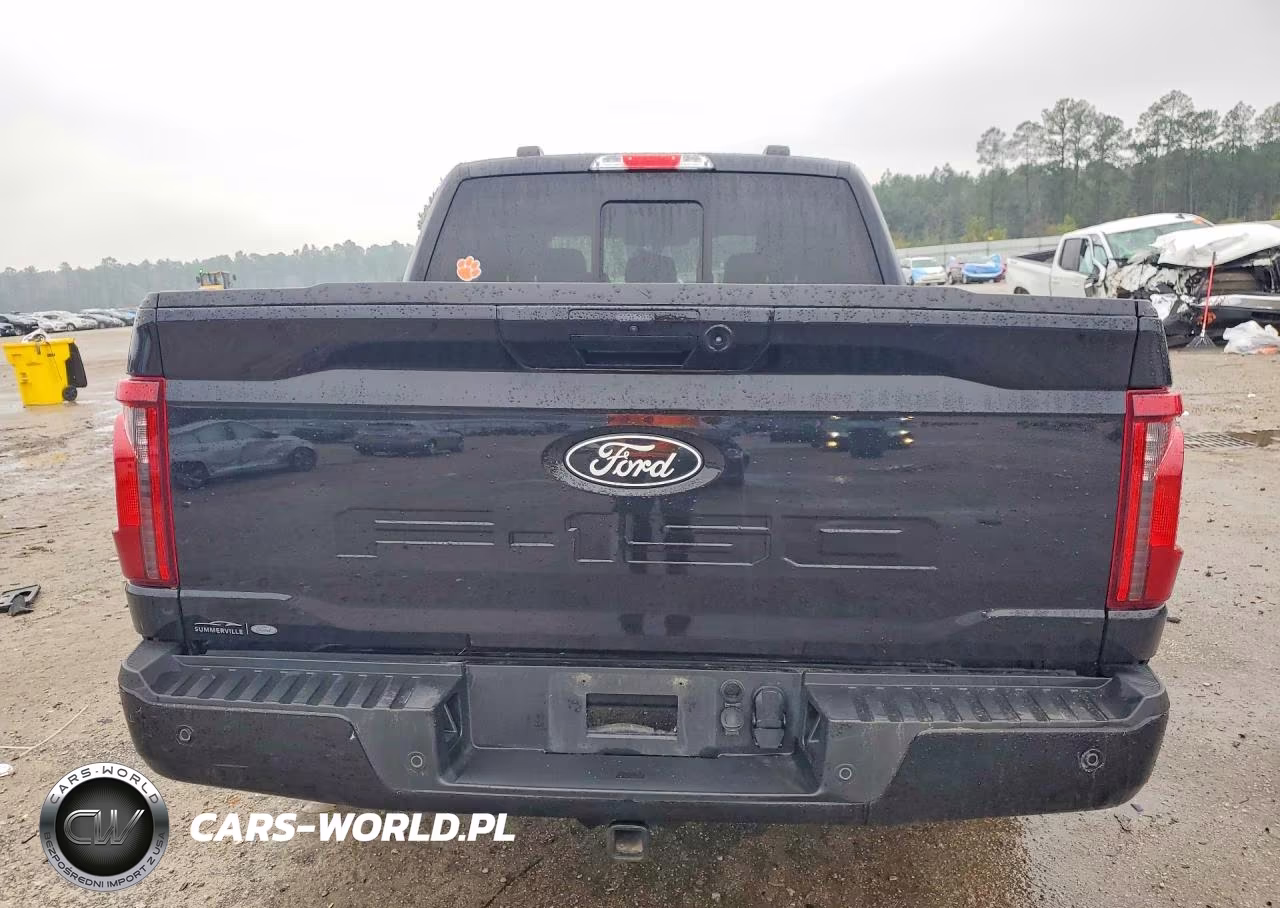 2024 Ford F150 Xlt VIN:1FTEW3K52RKE25459 - 6