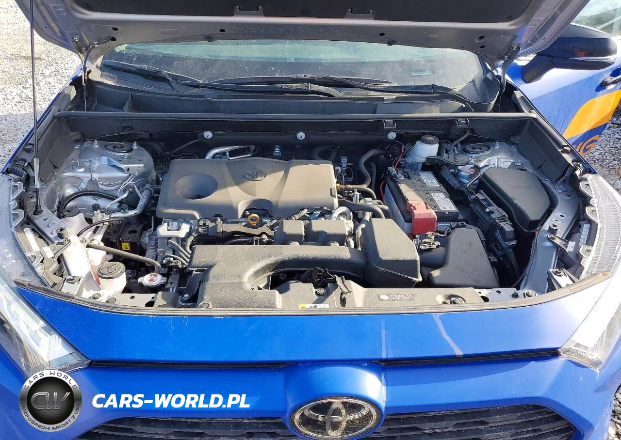 2025 Toyota Rav4 Le VIN:2T3G1RFV8SC491999 - 12