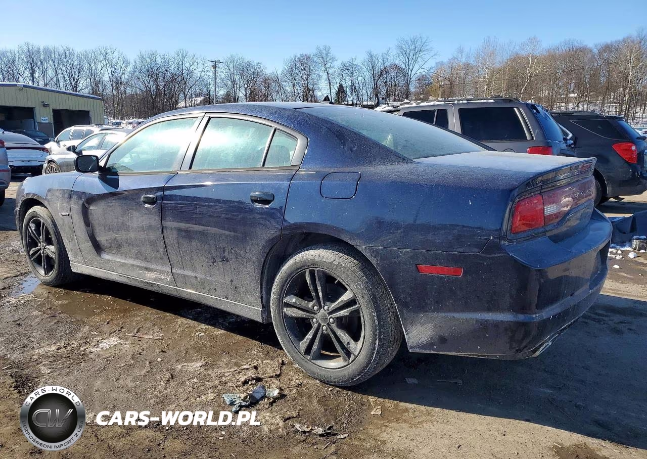2014 Dodge Charger VIN:2C3CDXDT9EH114794 - 2