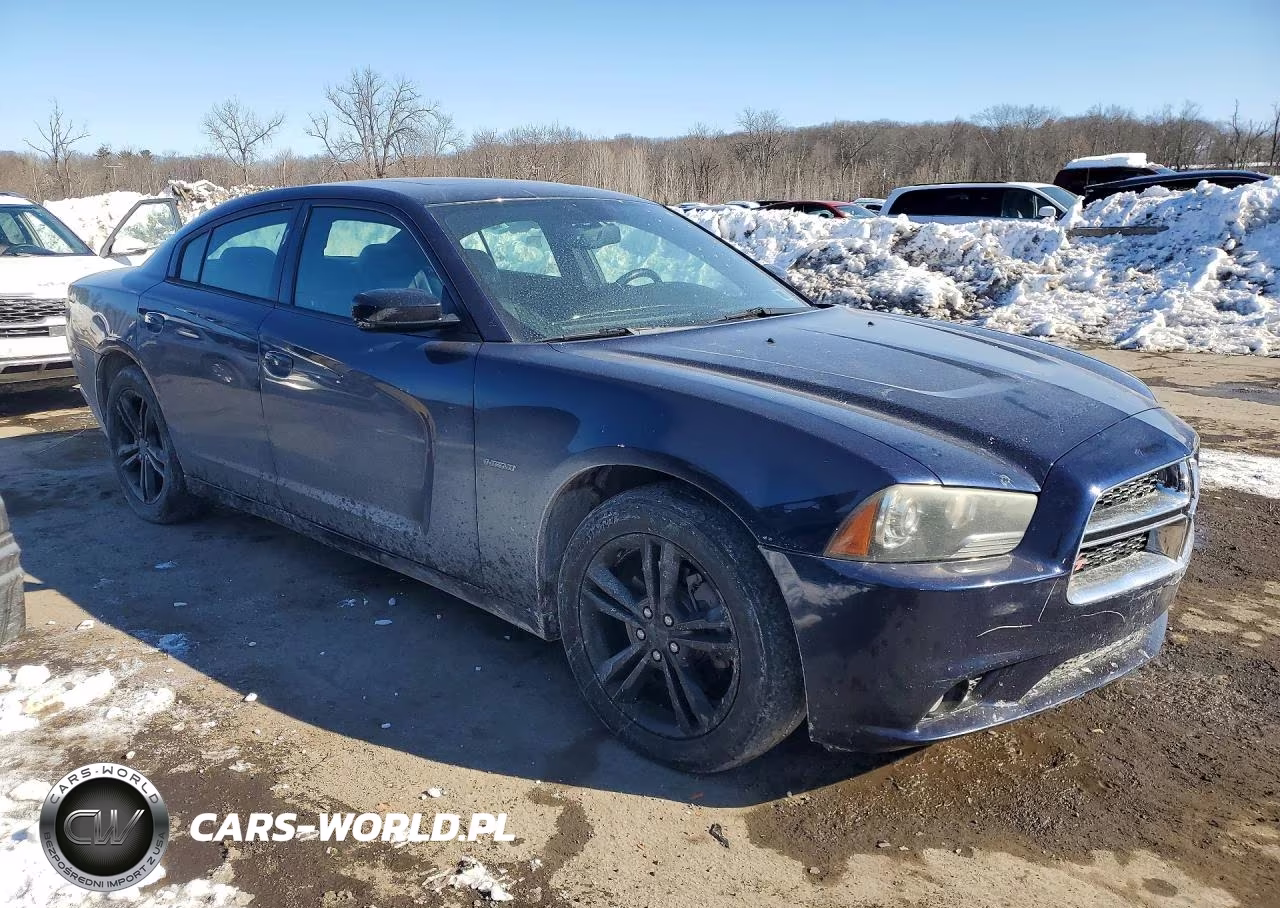 2014 Dodge Charger VIN:2C3CDXDT9EH114794 - 4