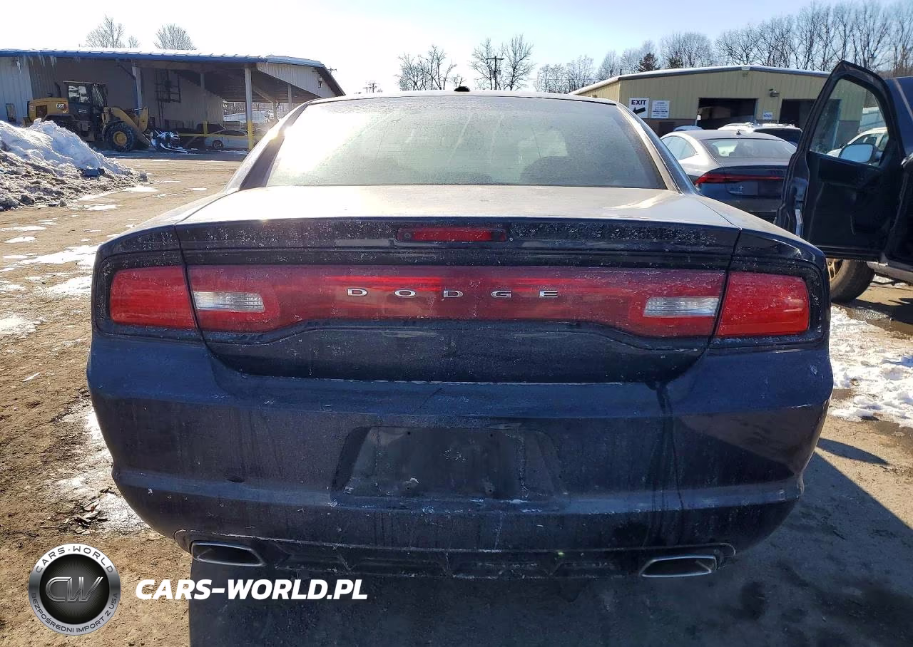 2014 Dodge Charger VIN:2C3CDXDT9EH114794 - 6