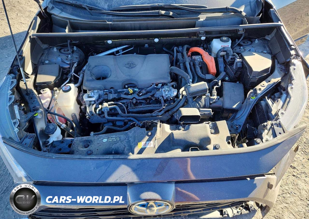 2024 Toyota Rav4 Xse VIN:JTME6RFV1RJ051395 - 12
