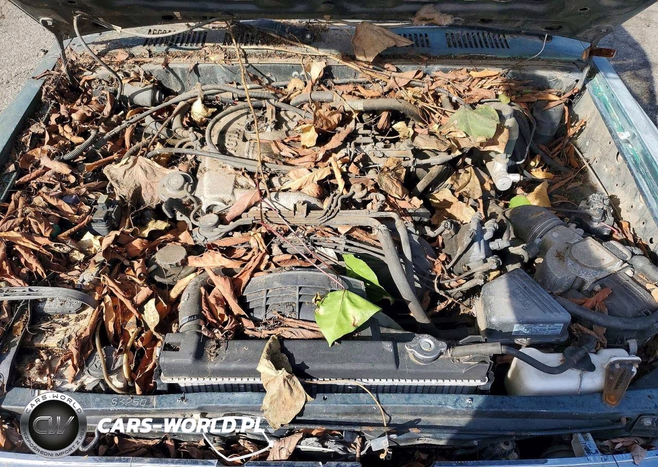 1994 Toyota 4Runner VIN:JT3VN39W1R0153925 - 12