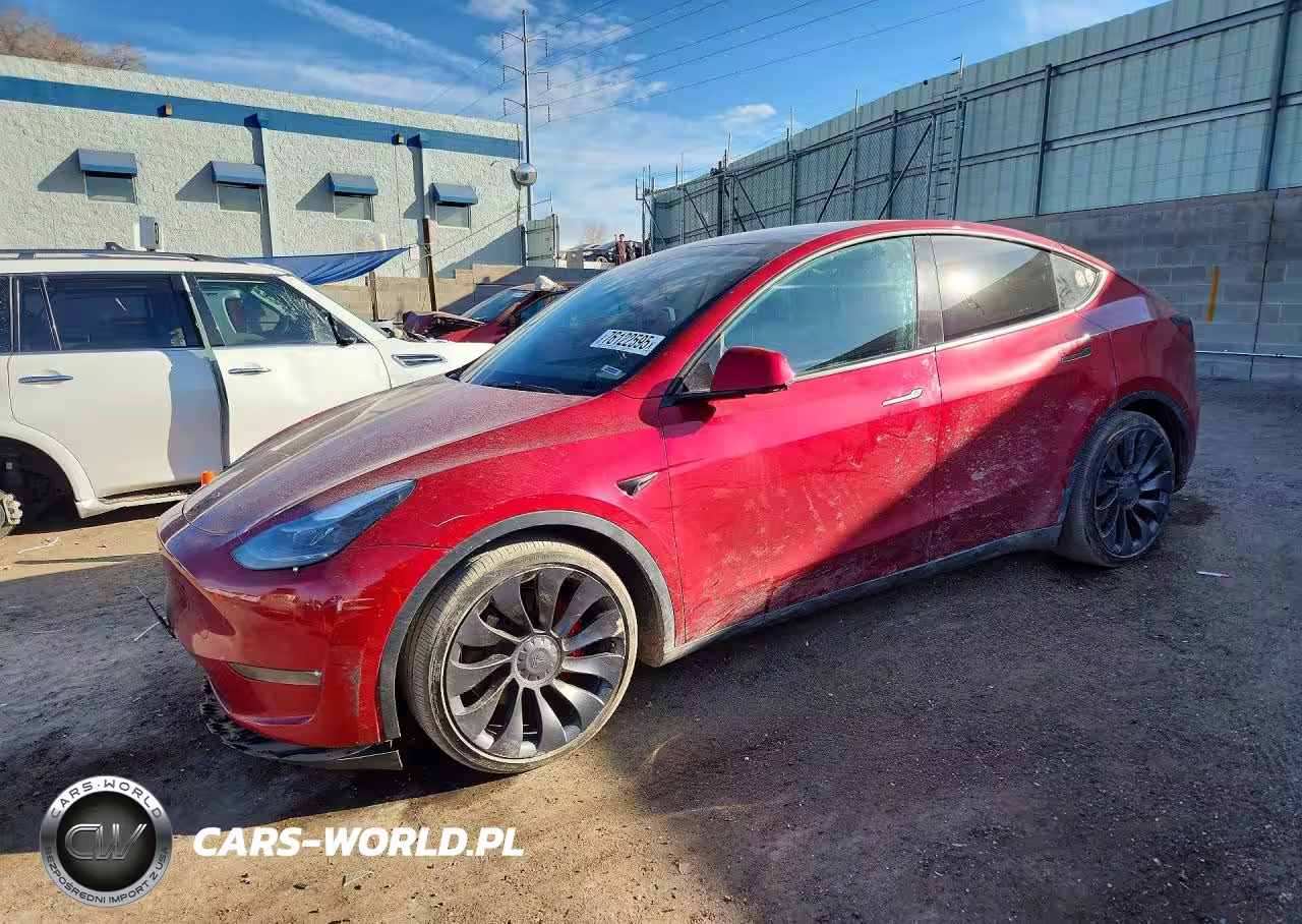 2025 Tesla Model Y