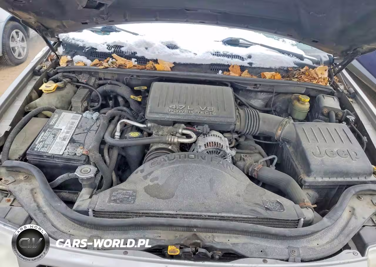 2000 Jeep Grand Cherokee Limited VIN:1J4GW58N8YC225961 - 11