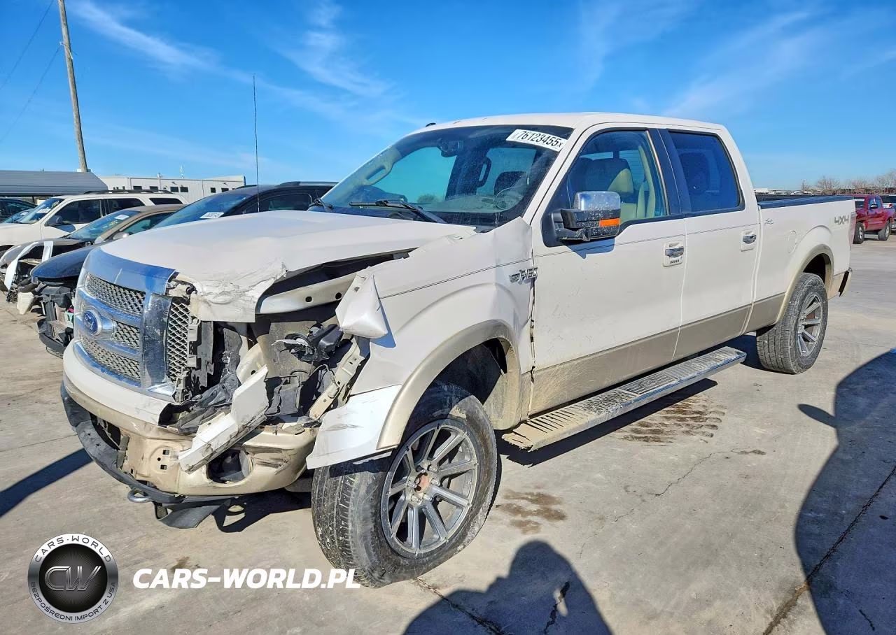 2010 Ford F150 Laria