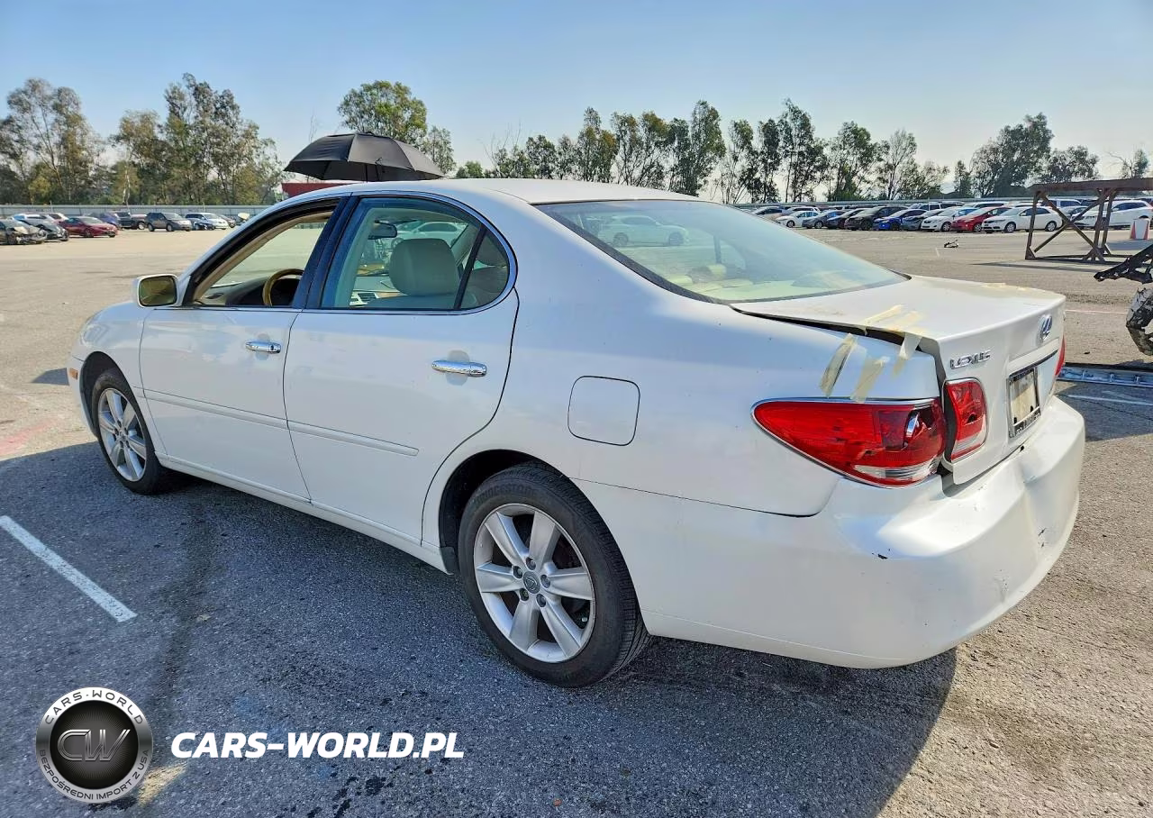 2005 Lexus Es330 VIN:JTHBA30G955124782 - 2
