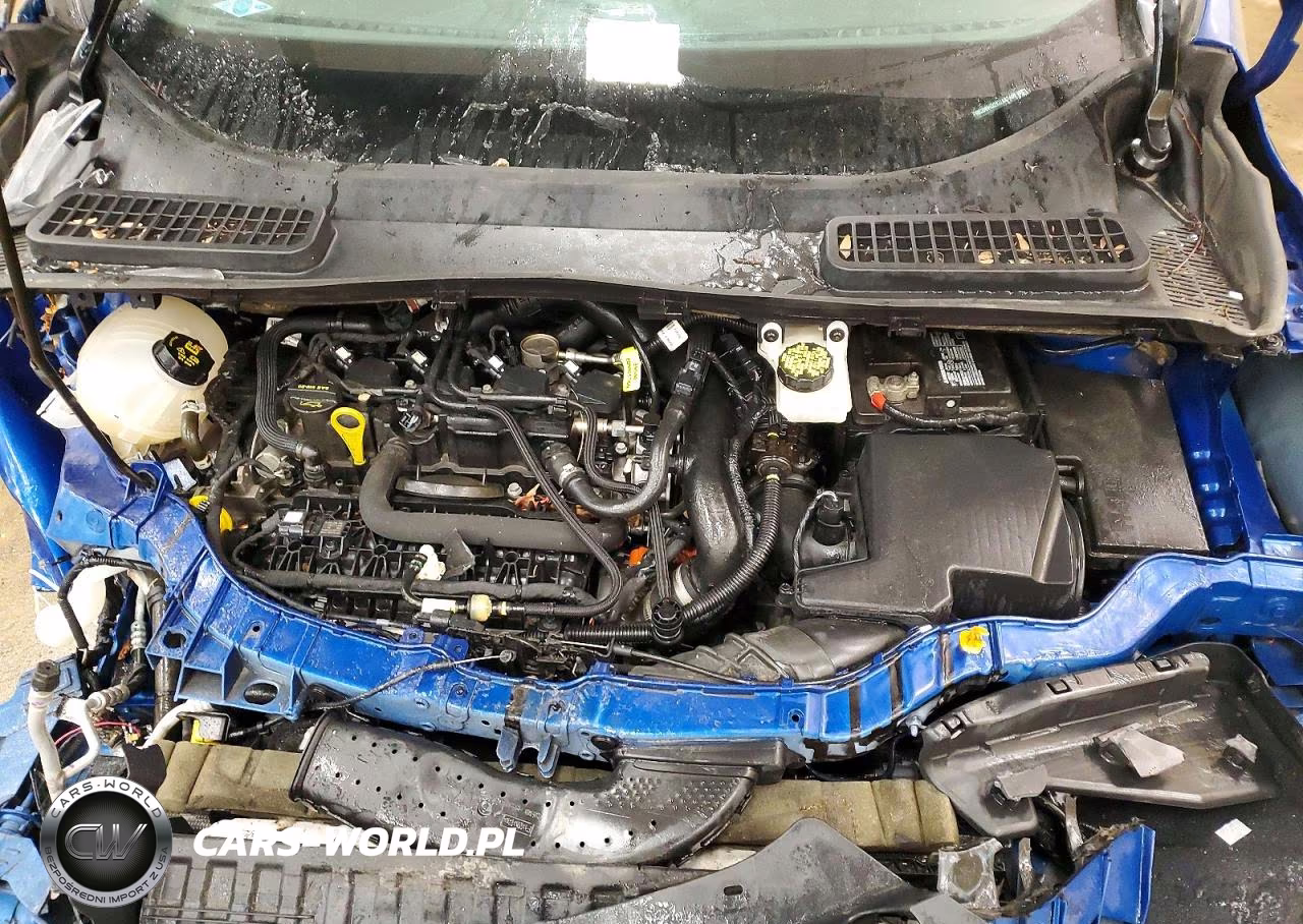 2019 Ford Escape Sel VIN:1FMCU0HD2KUA82460 - 12
